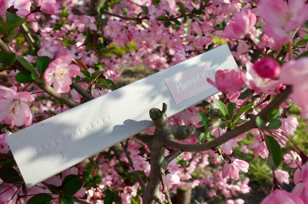 Awaken | Peach Blossom Incense